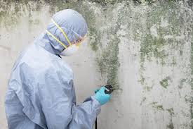 Mold Documentation for Insurance Claims in Thunderbolt, GA